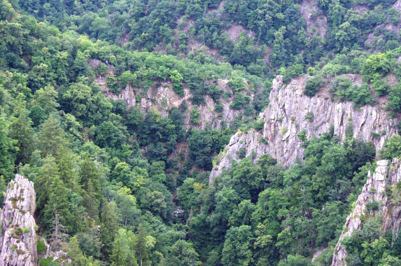 Feriendomizil Schlossblick แบลงเคนบวร์ก ภายนอก รูปภาพ